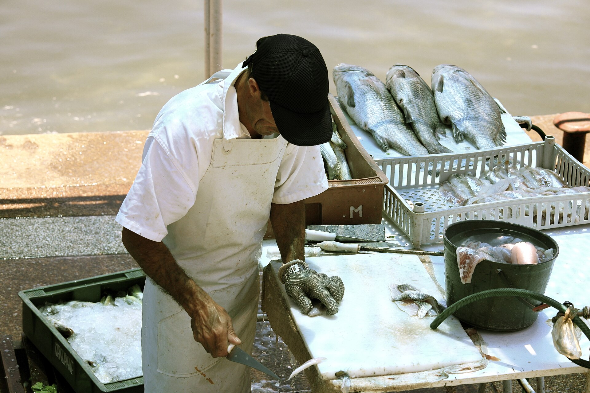 Products – Fish & Others post thumbnail image