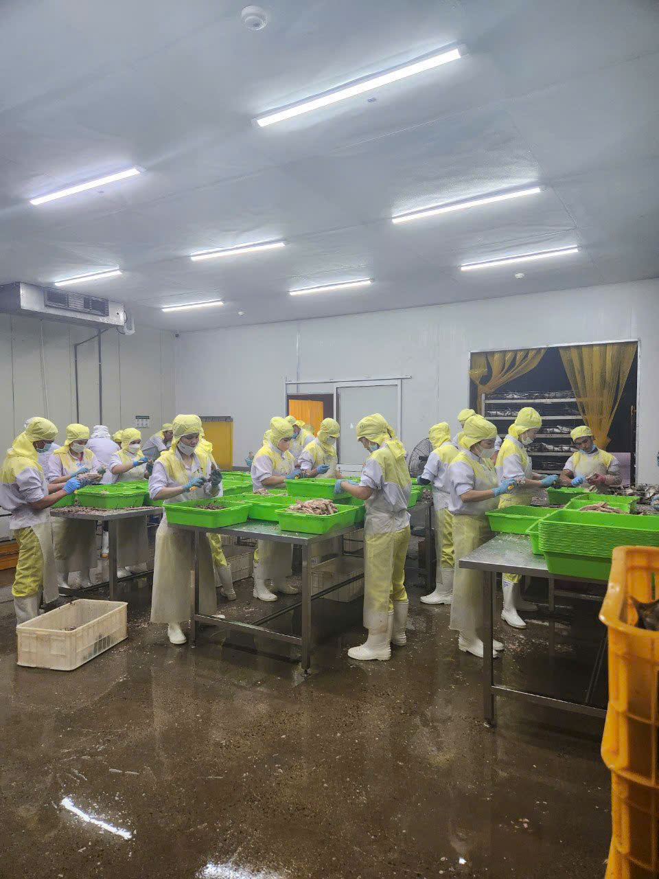 Production line
