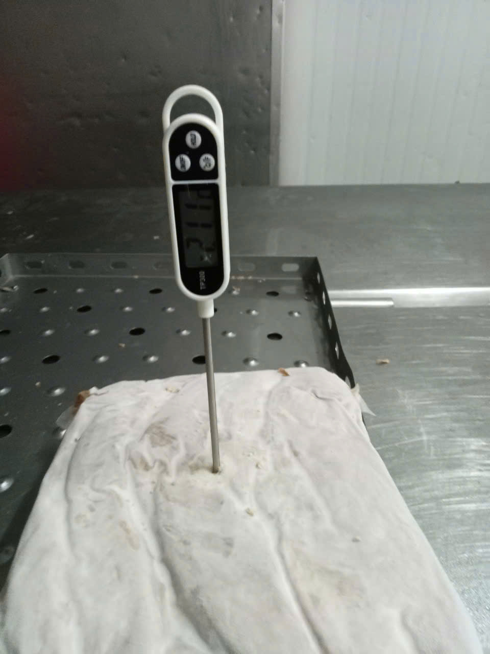 Tuna Steak