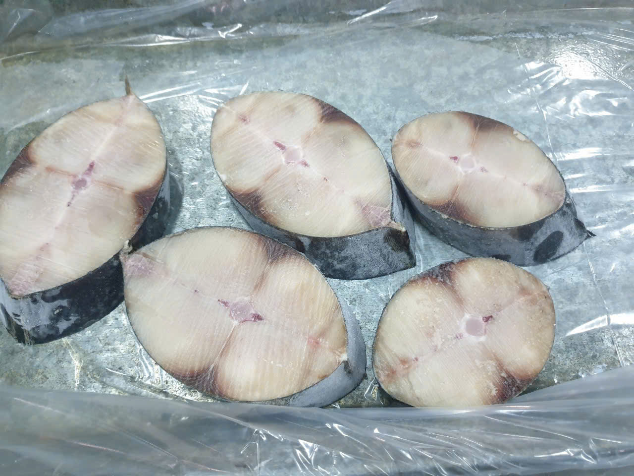 Black Tiger Prawn