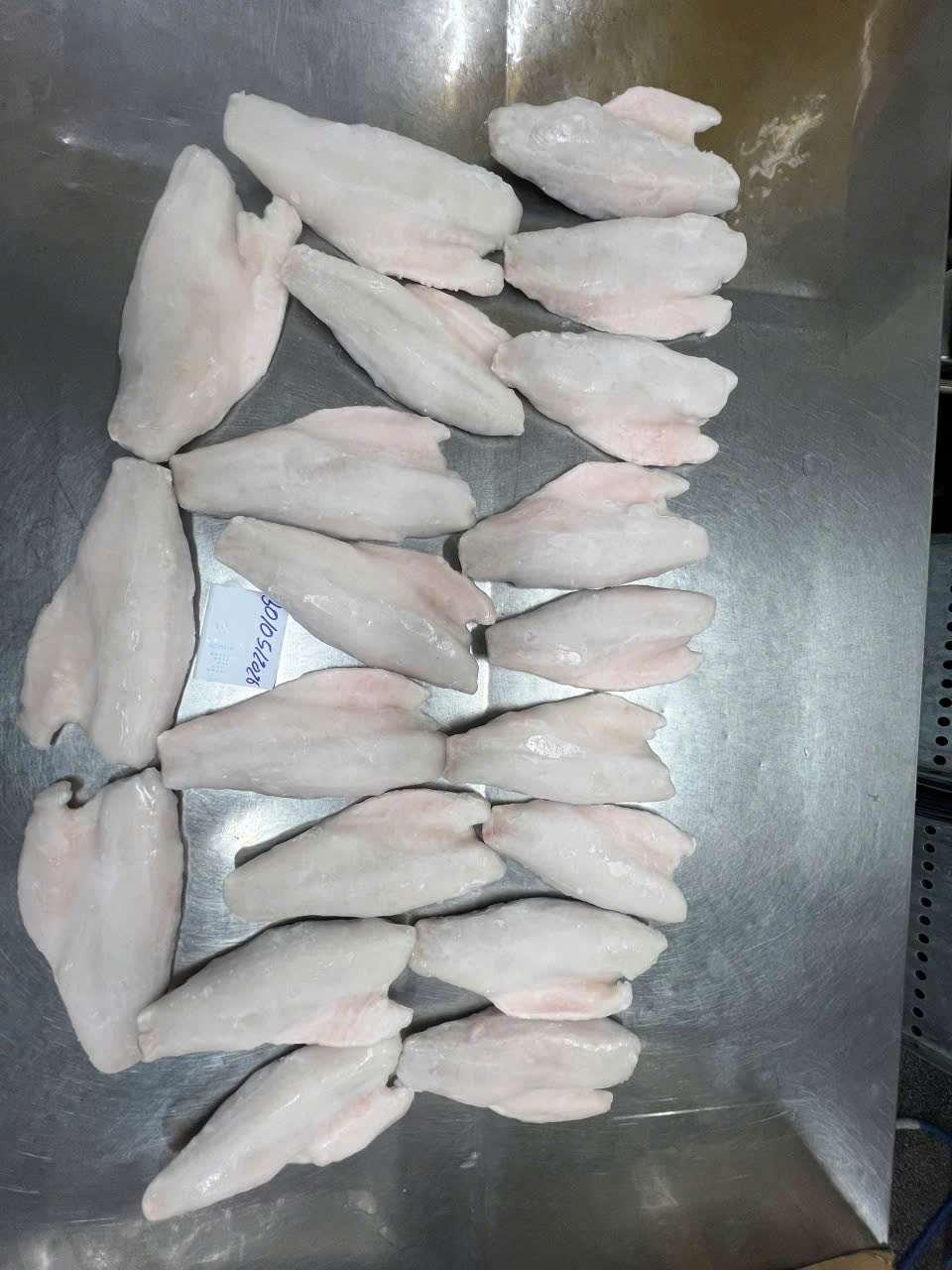 Frozen Octopus