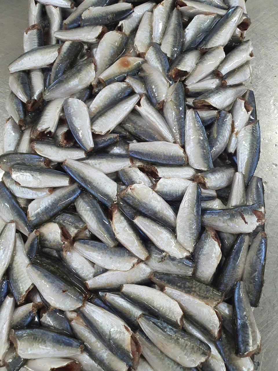 Tilapia Fillet