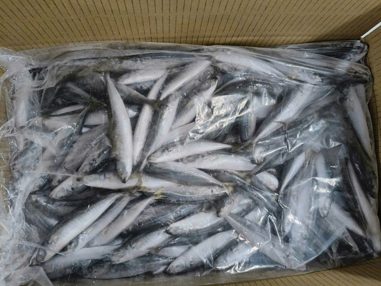 Tuna Saku