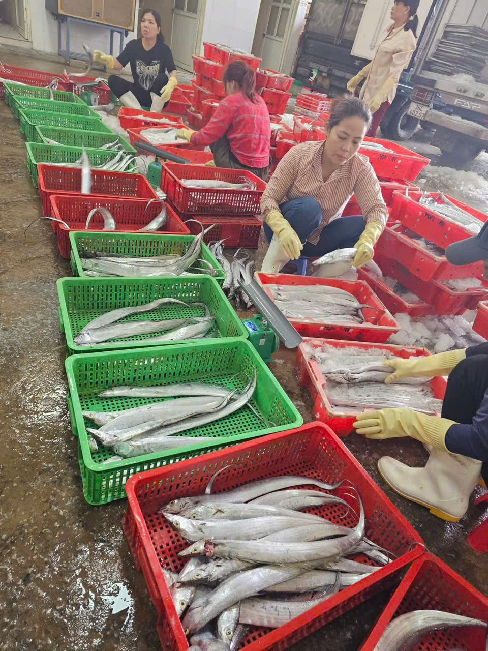 Frog Legs & Herring