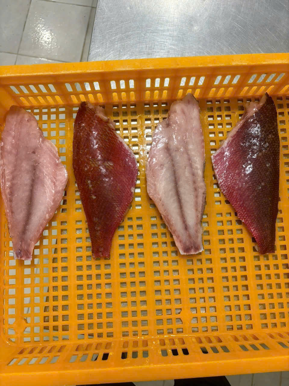 Pangasius Whole