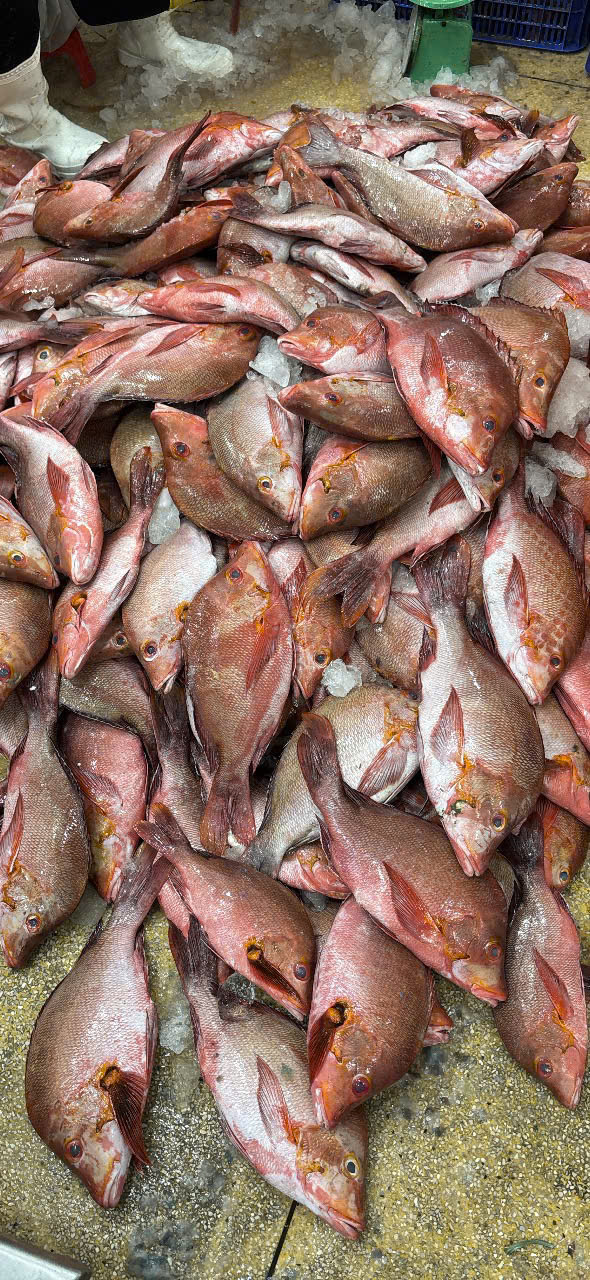 Fish products